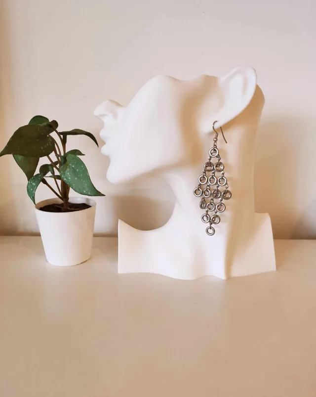 Earrings display