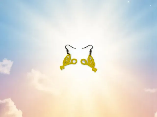 Flying key earrings