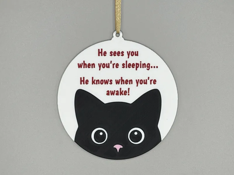 Cat Sees You When You're Sleeping Ornament Funny