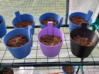 Pot de plantation à repiquage facile — photo 2