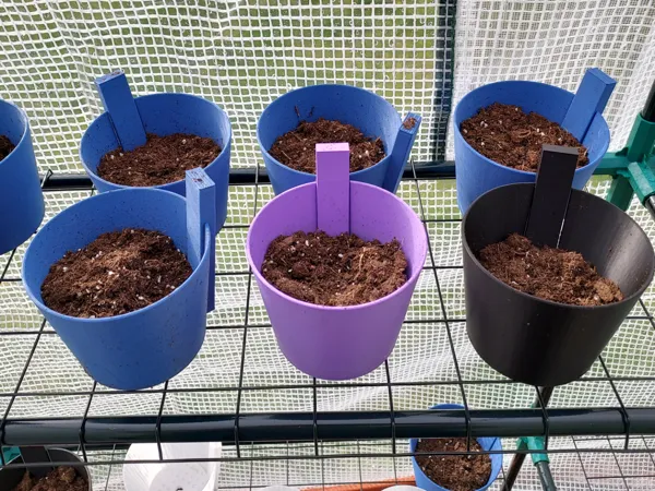 Pot de plantation à repiquage facile