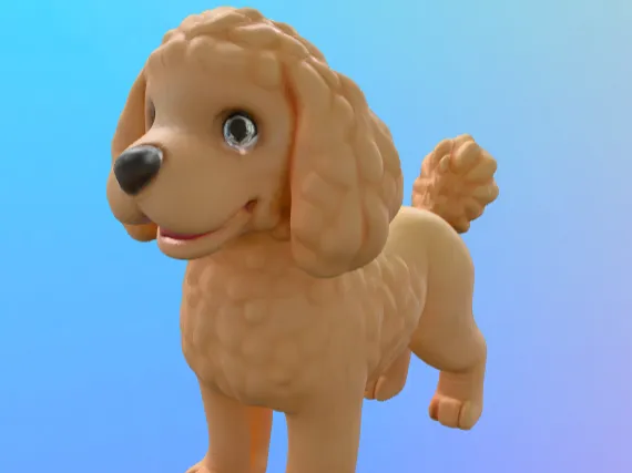 Mini labradoodle model
