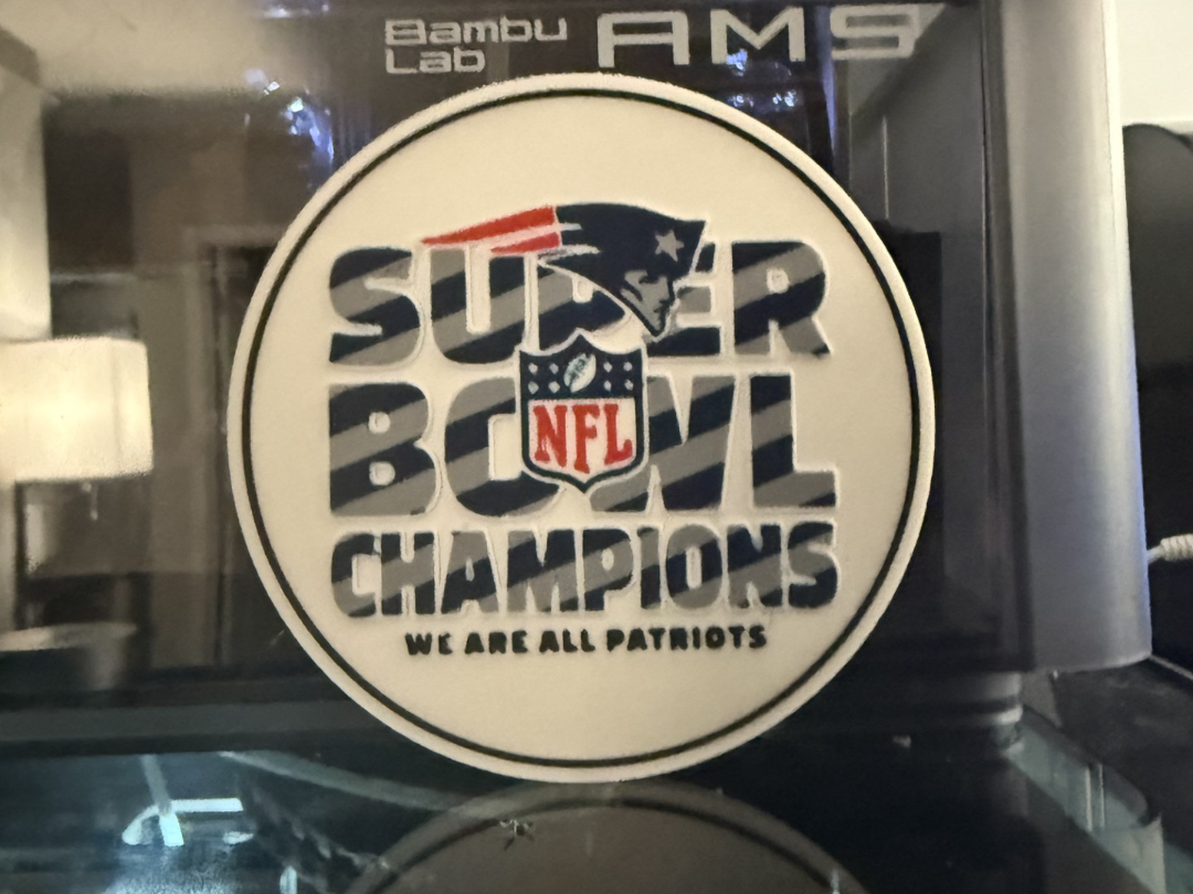 SUPER BOWL CHAMPIONS - WE ARE ALL PATRIOTS 