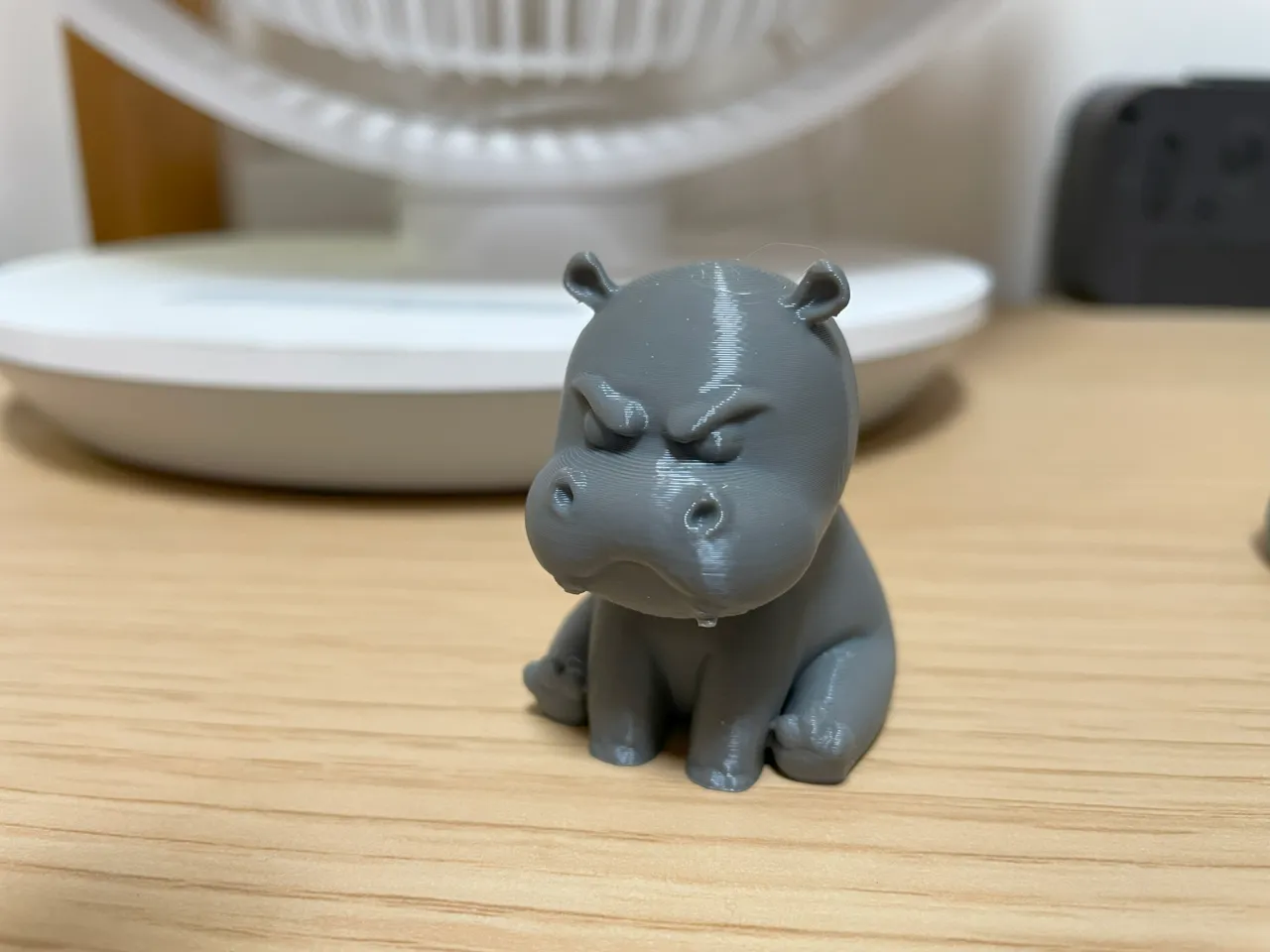 Angry Little Hippo view 2