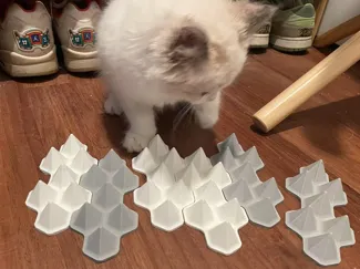 Cat Defense Spikes (Anti-cat Spikes)