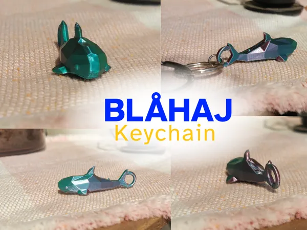 https://makerworld.bblmw.com/makerworld/model/USf61bed3a84ed1e/design/2024-09-02_92128556f75cc.png