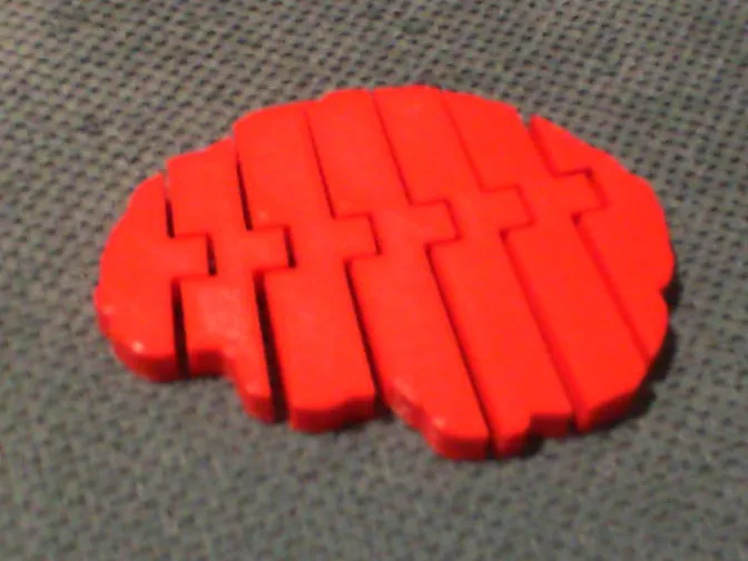 Flexi brain