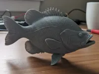 Crapet (poisson) - figurine autonome — photo 2