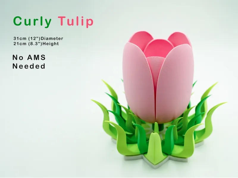 Tulip Curly Decoration (31cm)