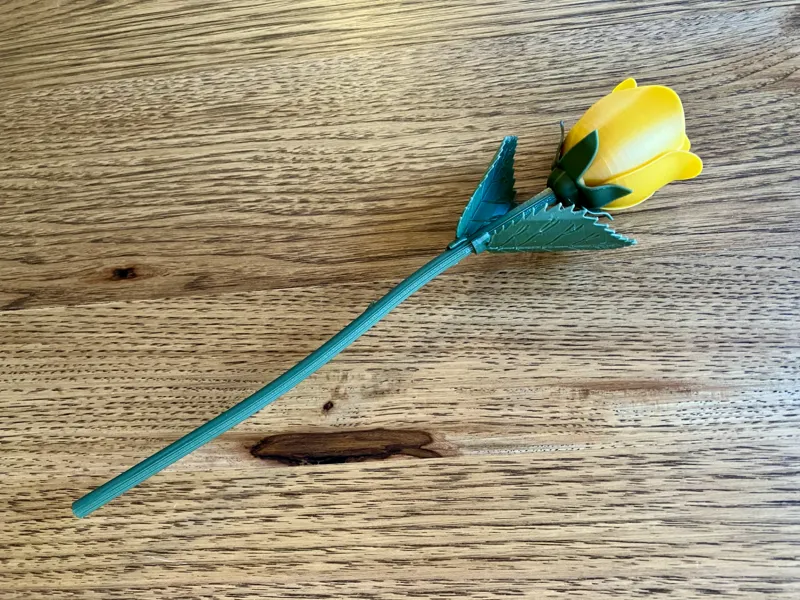 Rose with Stem, Sepals, and leaf