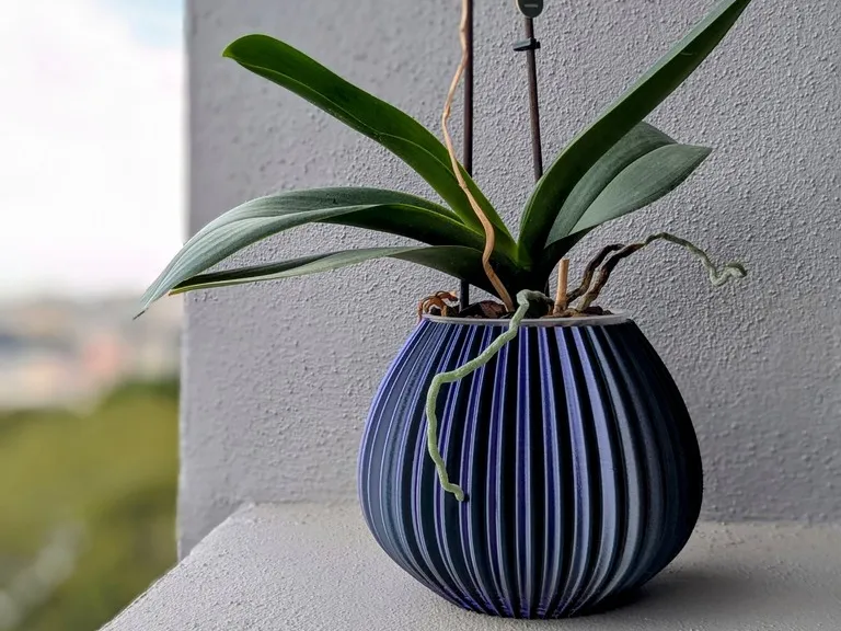 Round Plant Vase 