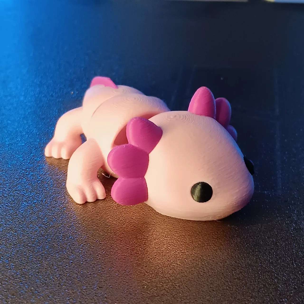 Articulated axolotl view 3