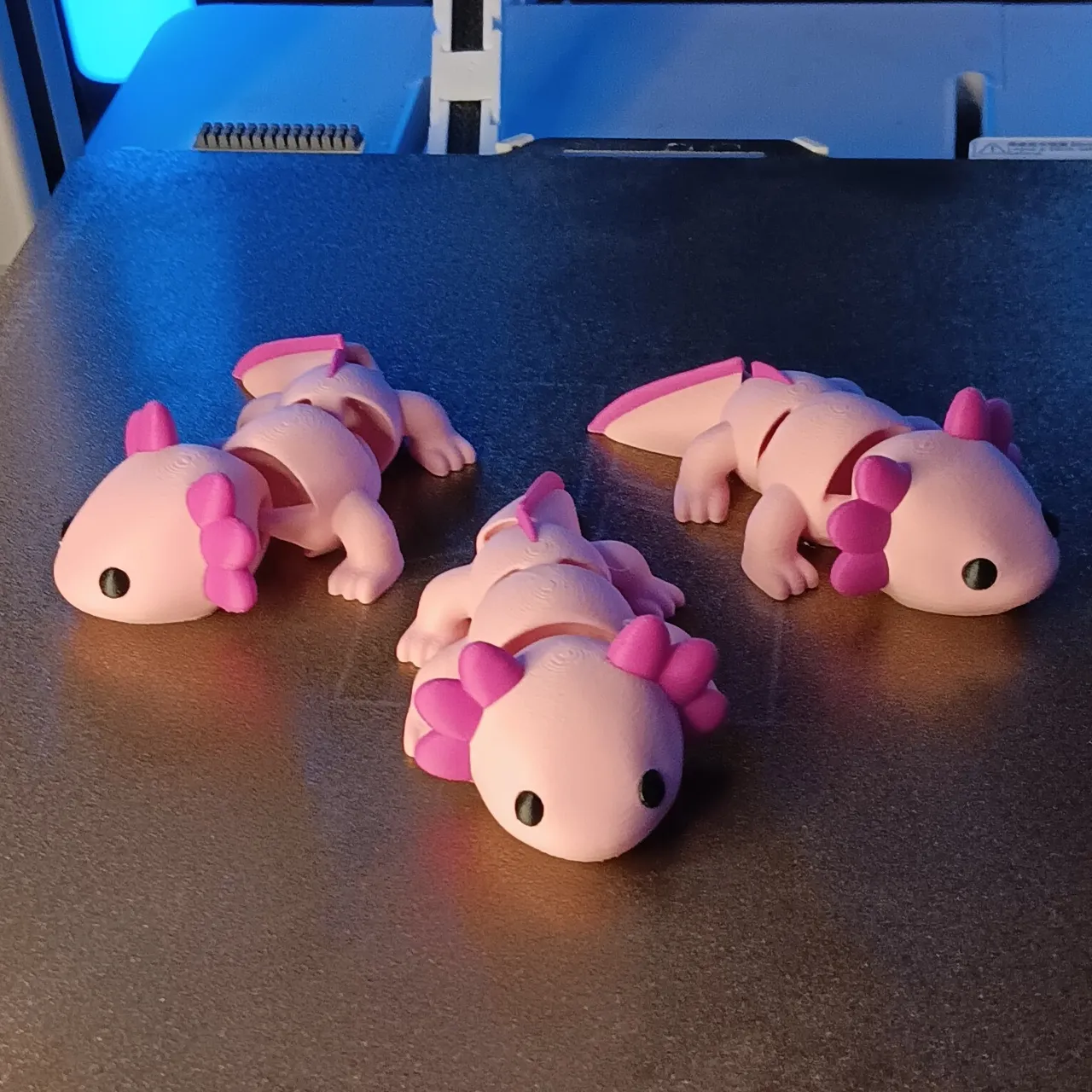 Articulated axolotl view 2