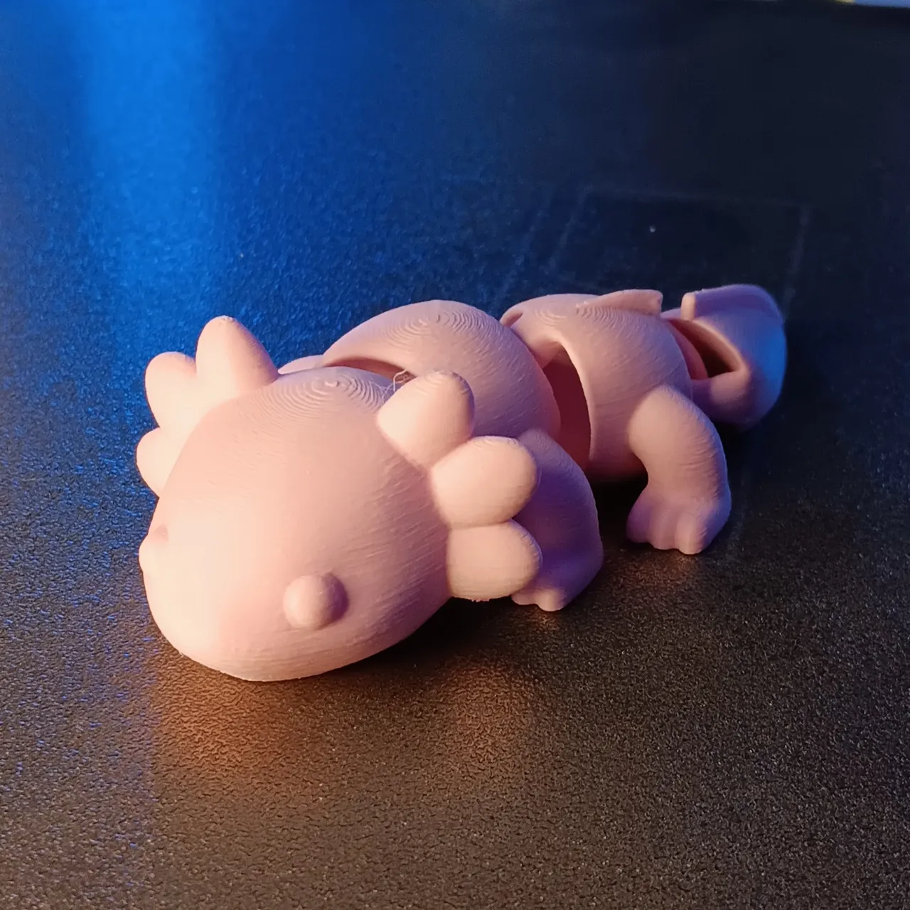 Articulated axolotl view 4