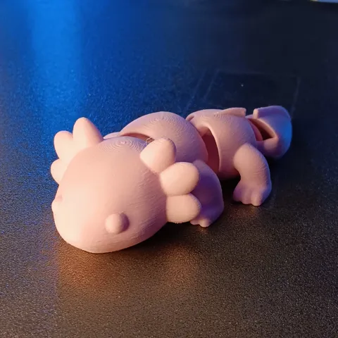 Articulated axolotl view 4
