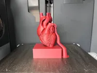 Heart kit - Split Parts (AMS for Labels Only)