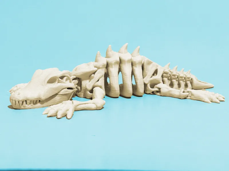 Articulated skeleton crocodile