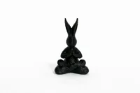 Lapins en posture de yoga — collection — photo 2