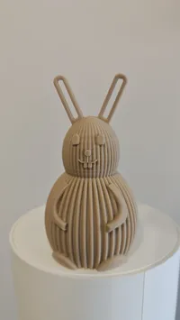 0.2mm layer, 2 walls, 15% infill - 10cm