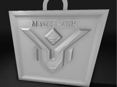 Master Rank OW2