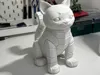 0.16mm layer, 2 walls, 15% infill