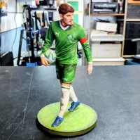 Buste du footballeur Gustavo Gomez — Palmeiras — photo 2