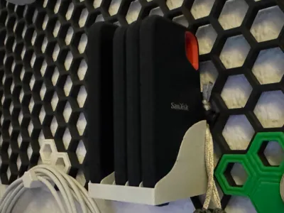 Sandisk HSW Slotholder (Honeycomb)