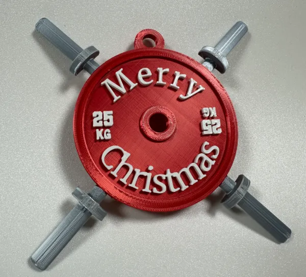 https://makerworld.bblmw.com/makerworld/model/USf640fa6da0e9e1/design/2024-12-17_e707829d51054.jpg