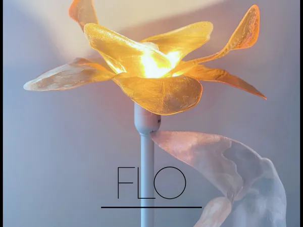 https://makerworld.bblmw.com/makerworld/model/USf6446ae1d893bb/design/2025-08-08_fbed230adb67c8.png