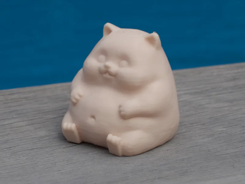 Chubby Cat