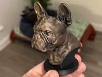 0.08mm layer, 2 walls, 5% infill