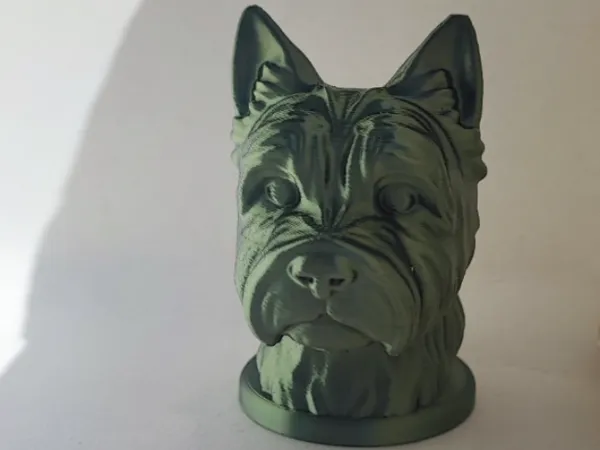 https://makerworld.bblmw.com/makerworld/model/USf64c8bf59fb23d/design/2025-05-11_0410bdd5698828.jpg