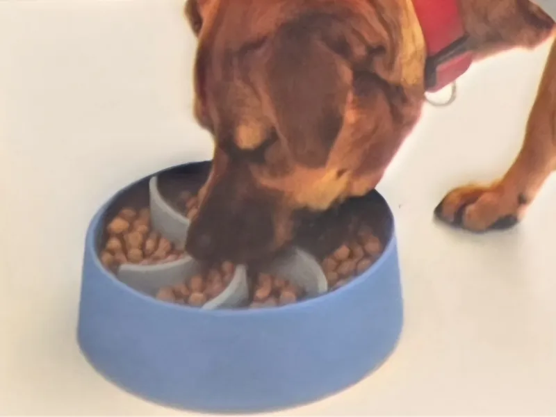 DOG SLOW FEEDER INSERT