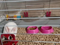 0.2mm layer, 2 walls, 20% infill