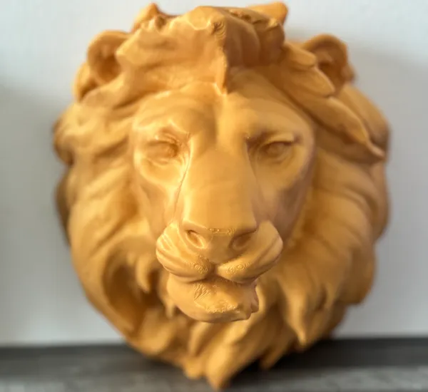 https://makerworld.bblmw.com/makerworld/model/USf66087065cf71d/design/2024-06-22_bd1db74db765c.jpg