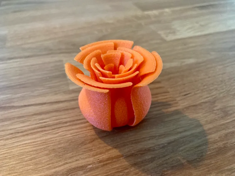 A Flower - Just a Flower