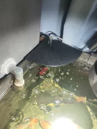 边缘入水版 隔绝99%水泡