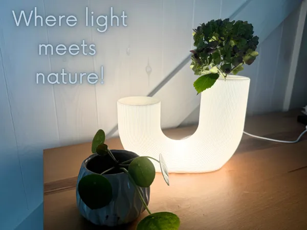 https://makerworld.bblmw.com/makerworld/model/USf67358d5d3b93e/design/2024-08-25_c521d38ca4ffe8.jpg