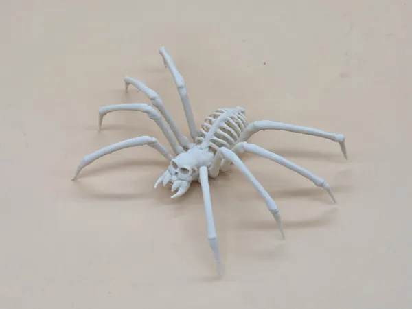 https://makerworld.bblmw.com/makerworld/model/USf677c65f8993e2/design/2025-11-06_5048d235d98aa8.jpg