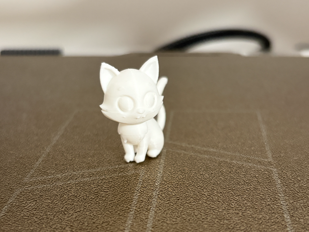 Cute mini cat