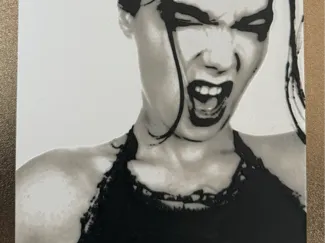 BJORK AESTHETICALLY INSPIRED ART