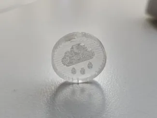 Transparency Test Coin