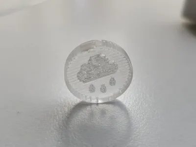 Transparency Test Coin