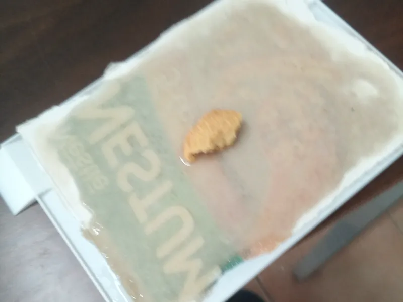 Base for mouse glue