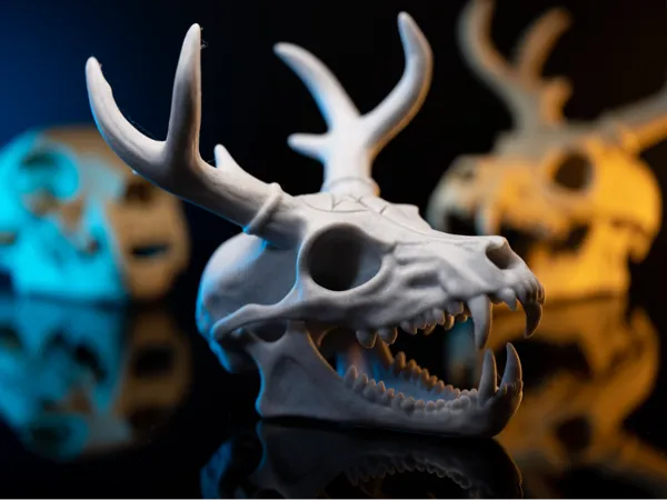 https://makerworld.bblmw.com/makerworld/model/USf685c1e3604fb2/design/2025-06-06_650eac3672c528.jpg