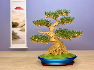 Pine Bonsai Tree Kit