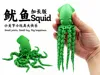 Extended Squid