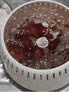 Modelo para impresión 3D: Lavador de frutas premium — vista de referencia 2