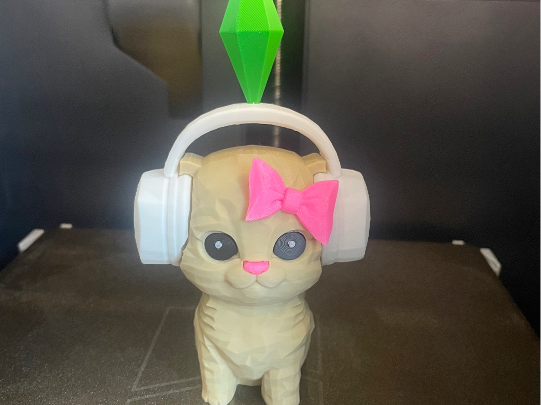 The sims cat dancing in headphones meme