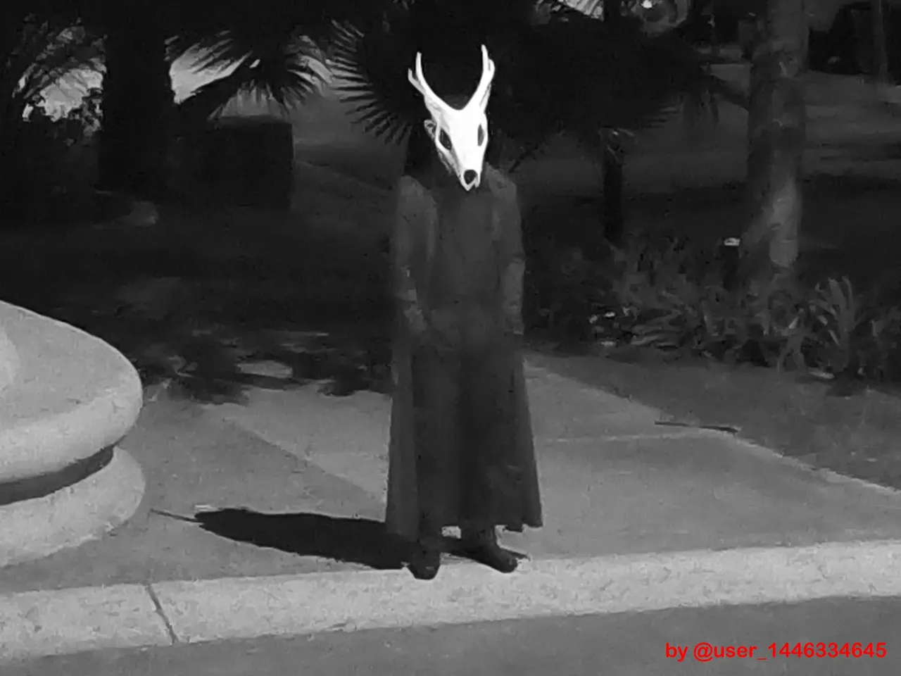 Wendigo skull view 2
